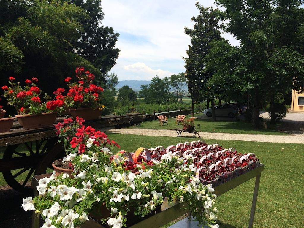 Agriturismo Al Colle Del Ciliegio Villa Rovolon Eksteriør bilde