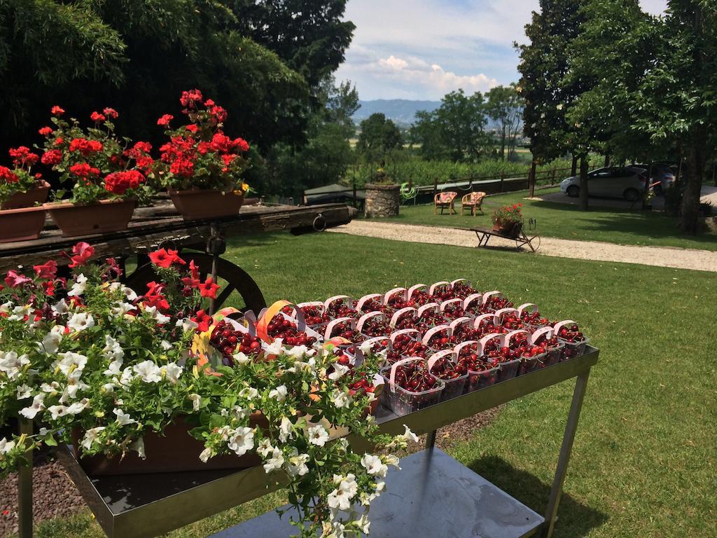 Agriturismo Al Colle Del Ciliegio Villa Rovolon Eksteriør bilde