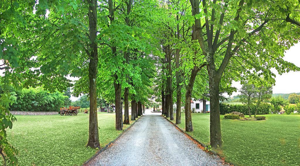Agriturismo Al Colle Del Ciliegio Villa Rovolon Eksteriør bilde